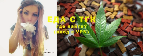 spice Богородицк