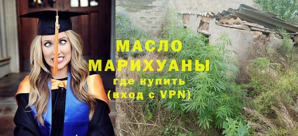 spice Богородицк