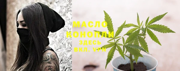 spice Богородицк