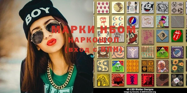 spice Богородицк