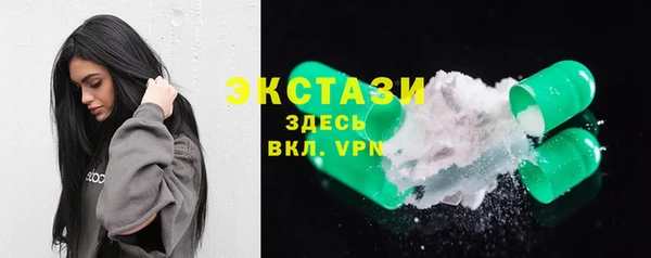spice Богородицк