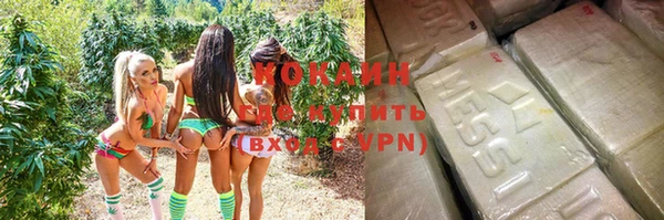 эйфоретик Богданович