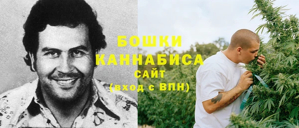 spice Богородицк