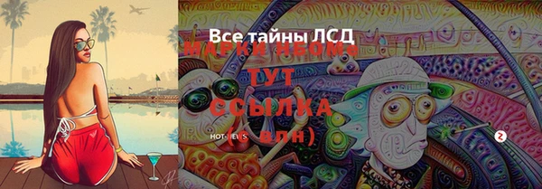 эйфоретик Богданович