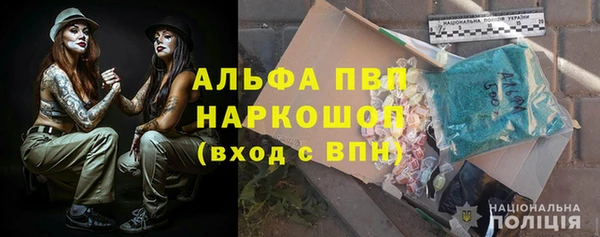spice Богородицк