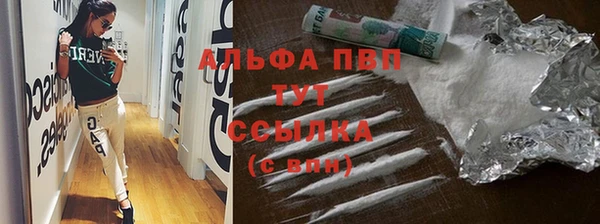 эйфоретик Богданович